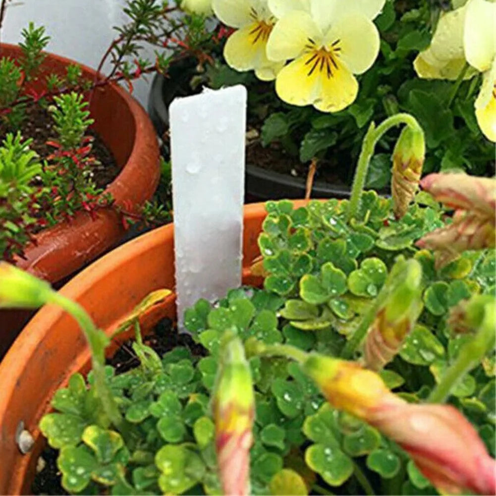 Plant Labels