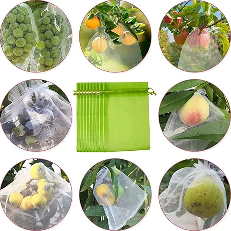 Fruit Protection Bags