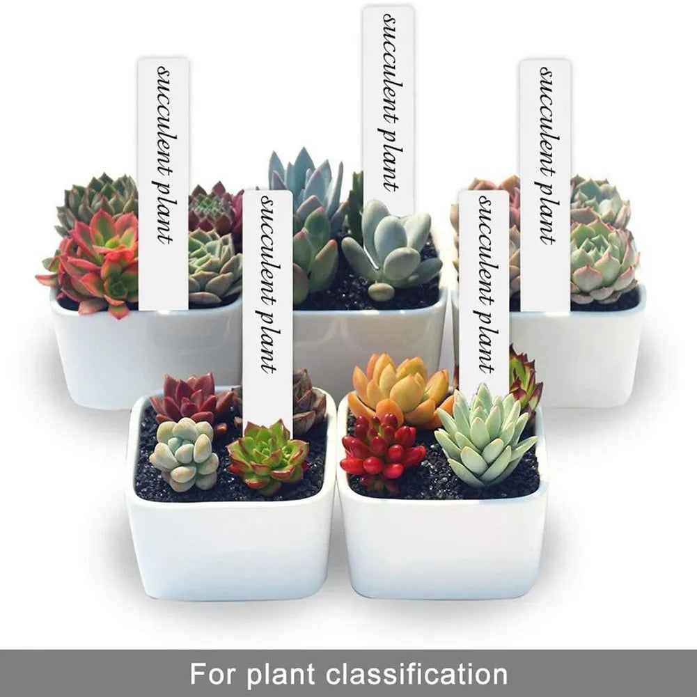 Plant Labels