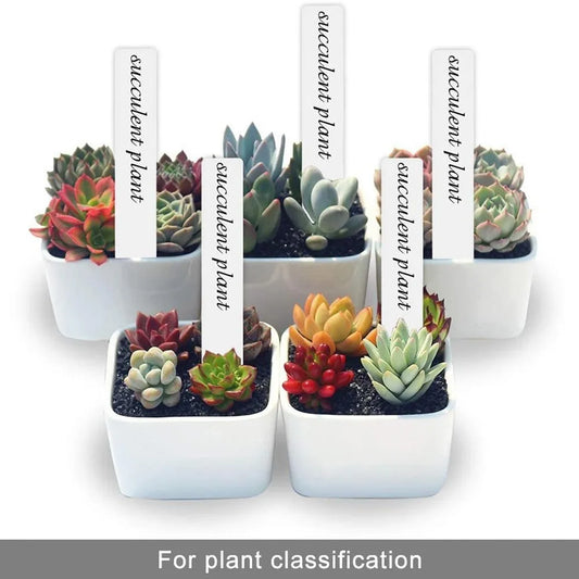 Plant Labels