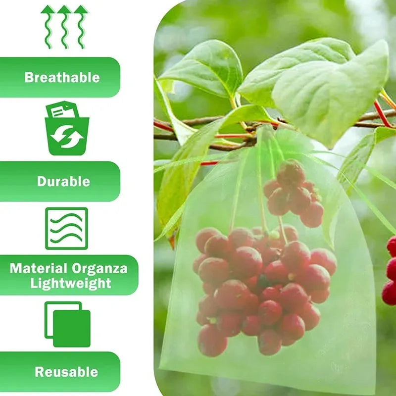 Fruit Protection Bags