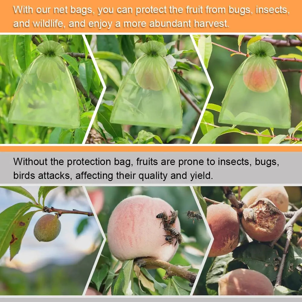 Fruit Protection Bags
